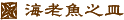 �C�V���V�M